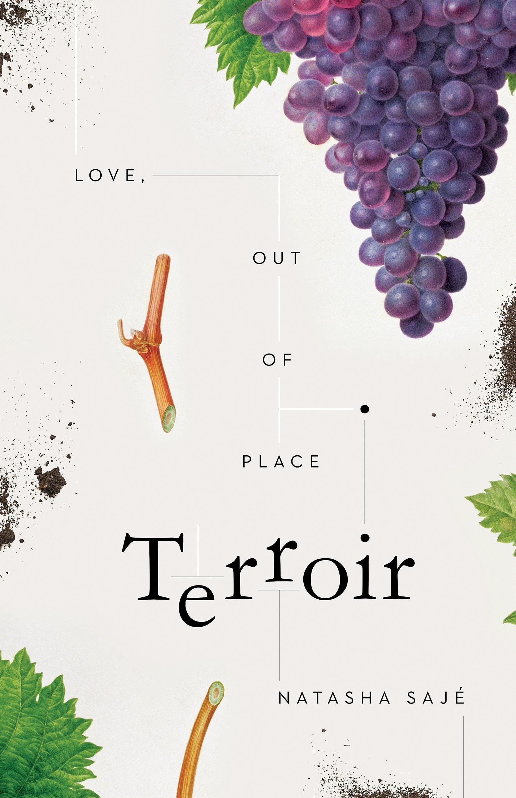 Book cover image for Terroir ISBN: 9781595349330